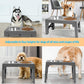 Elevated Dog Bowl