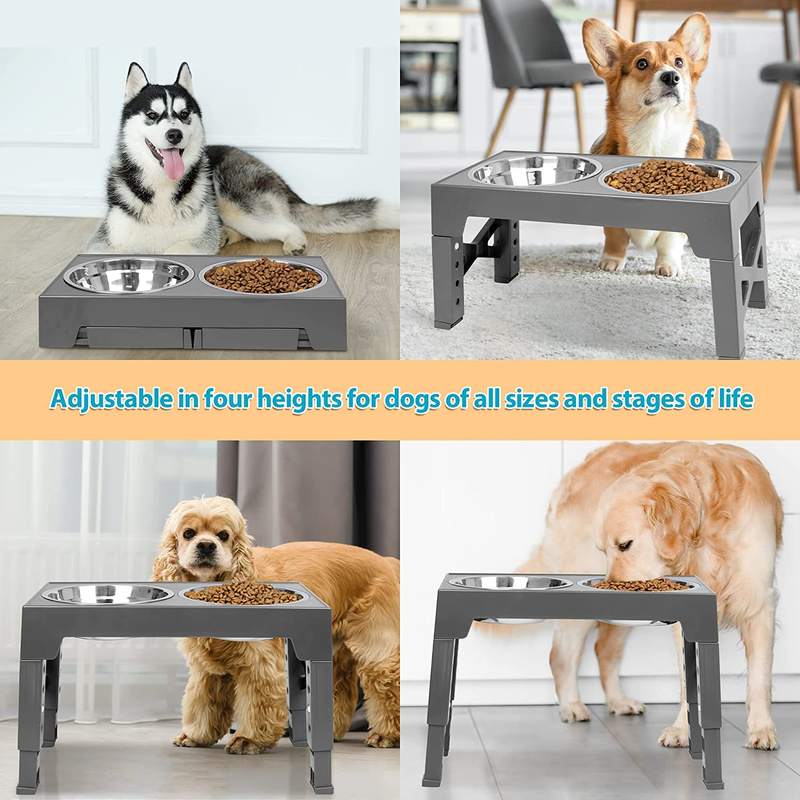 Elevated Dog Bowl
