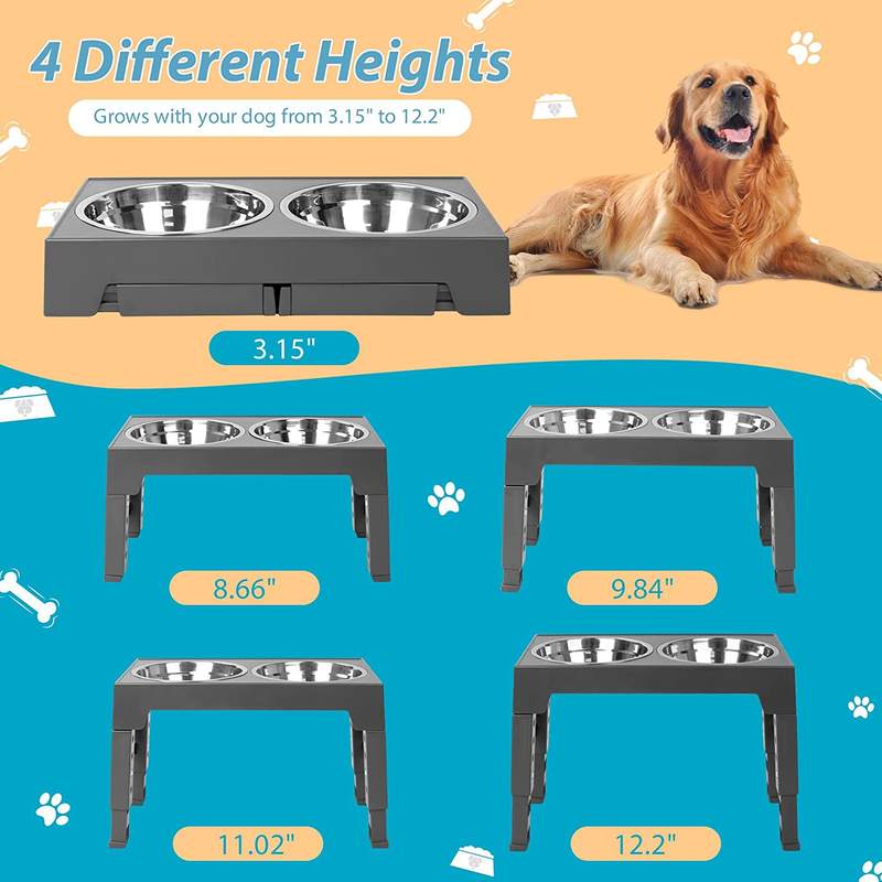Elevated Dog Bowl